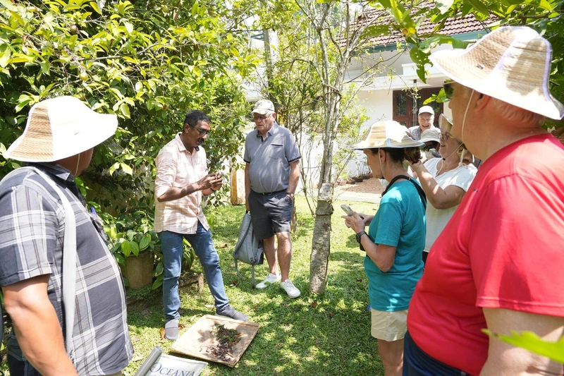 A local guide showing garden herbs and spices to guests