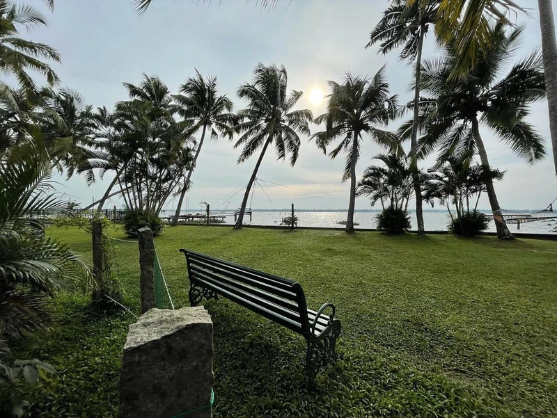 A garden bench on the lawn looking through coconut palms to the backwaters and a Chinese fishing net in the distance