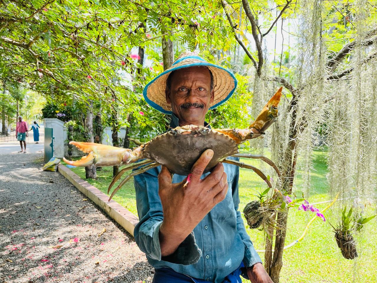 A man wearing a woven hat holds a large crab in a lush Kumbalangi garden