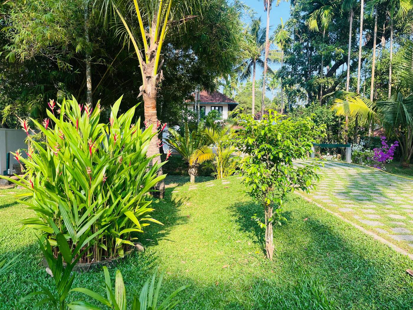 Tropical garden with heliconia flowers and produce on the property grounds